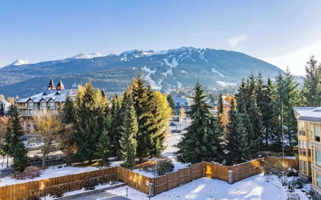 Spacious One Bedroom Suite - 412