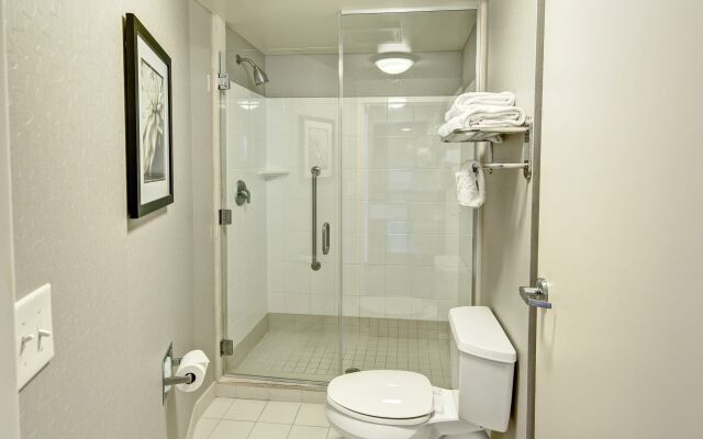 Springhill Suites by Marriott New Bern