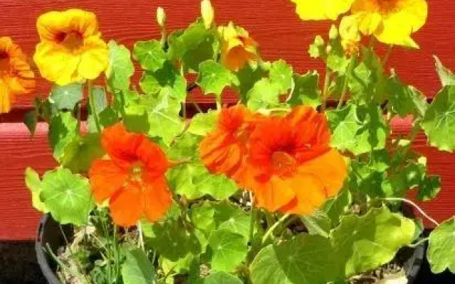 Chambres d'hôtes Ty Ruz