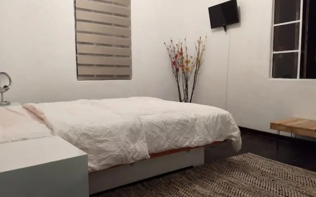 Suite Regina 94