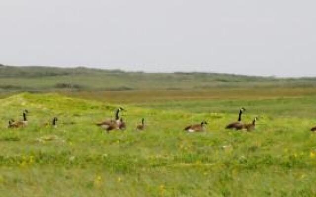 The Convent Guesthouse