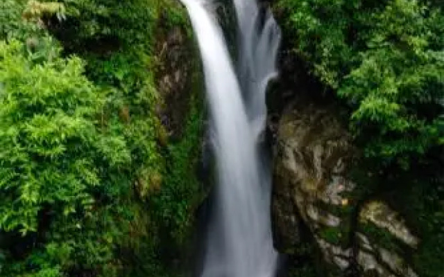 The Wild Flower Retreat