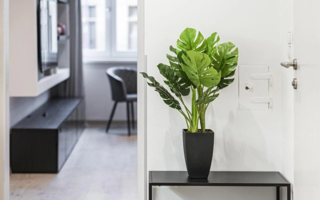 ZEUS Design Apartments