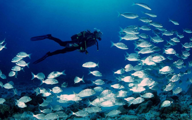 Calafate 5 Con Vistas Al Mar