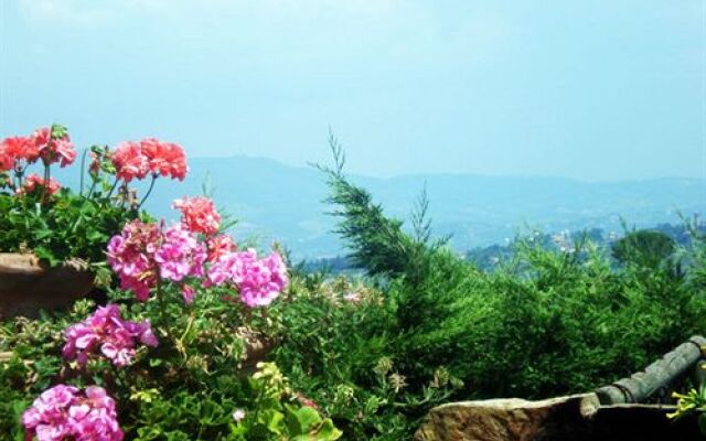Podere Le Cave