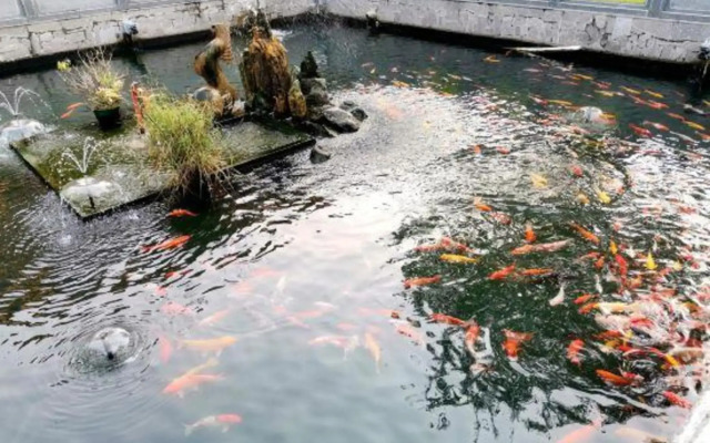 Jinganglong Hotel