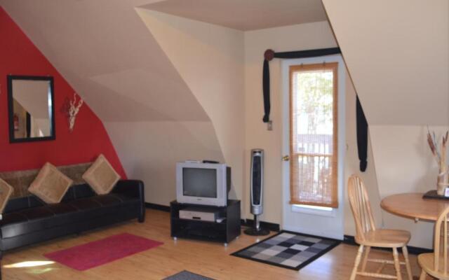 Sea Parrot Ocean View Manor