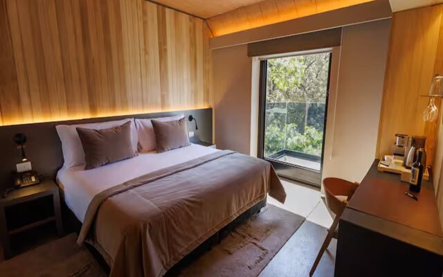 Hualta Hotel Mendoza, Curio Collection By Hilton