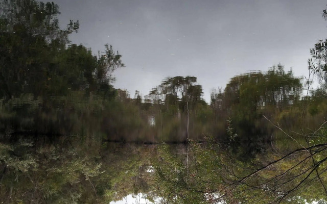 Denmark Forest Retreat