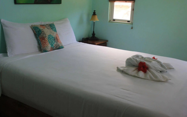 Hotel La Posada and Jungle