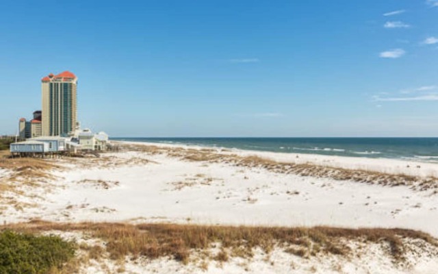 Summer Salt by Youngs Suncoast