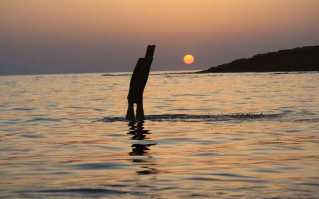 a Vacation That Becomes a Dream