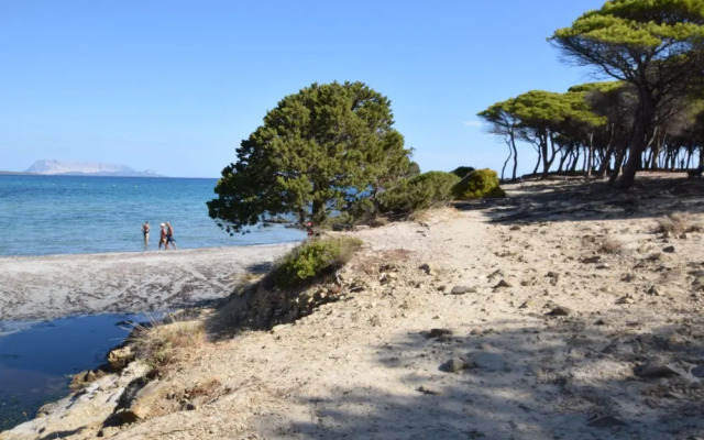 Villa Del Sole In Budoni Sea View
