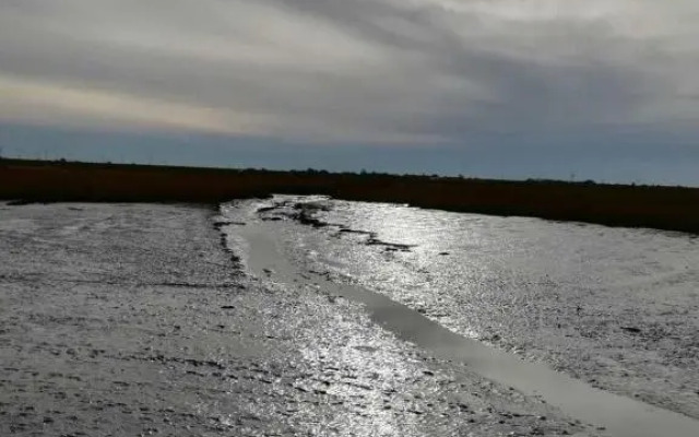 FEWO KIRA, direkt hinterm Deich