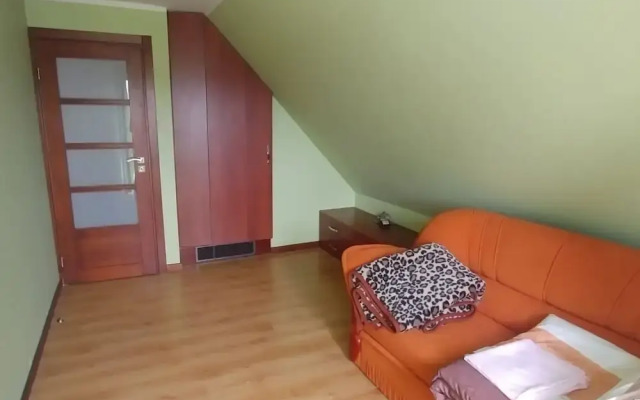 Rustic Riverside Cabin in Forest