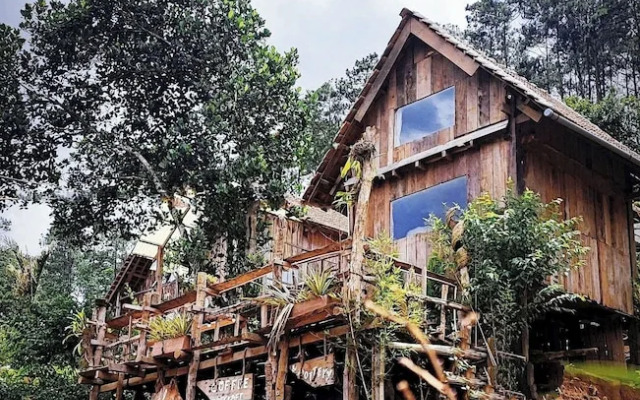 To Chim Ri Homestay Mang Đen