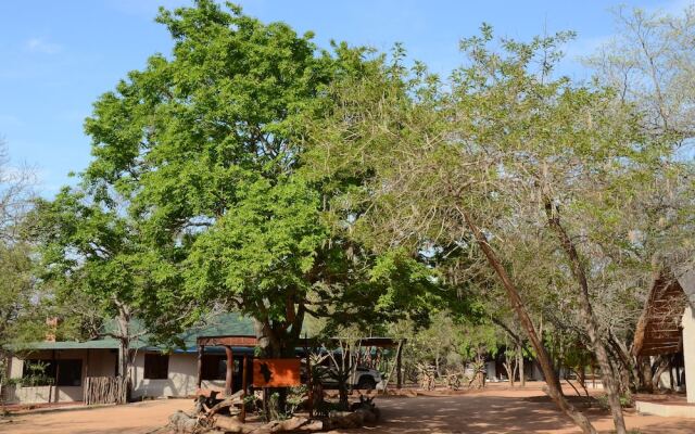 Wild Dogs Safari Lodge