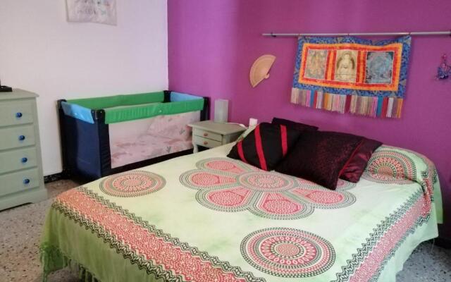 lo flamenc 2 @Amposta