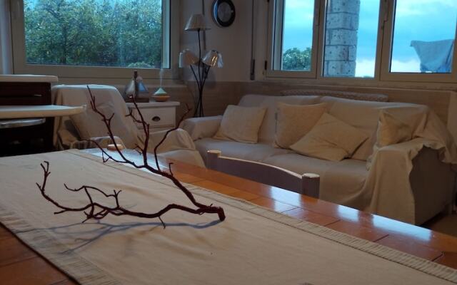 a Vacation That Becomes a Dream