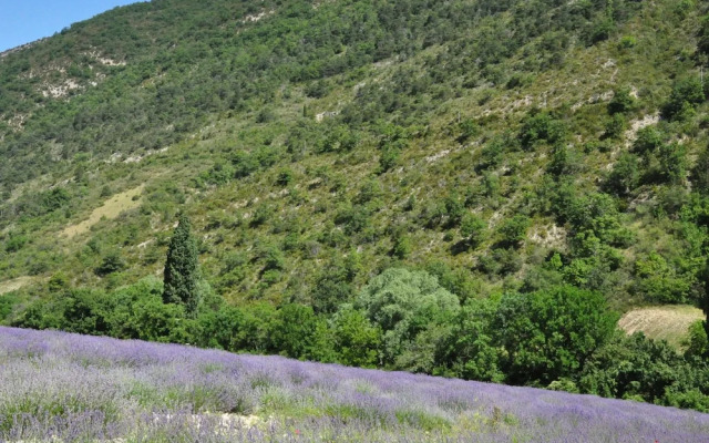 Sun-kissed Villa in Fayence With Terrace