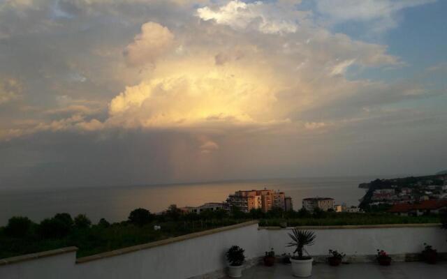 Villa Byala Grape House