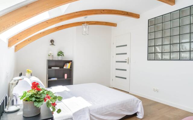 Lumina stylish apartments in the center