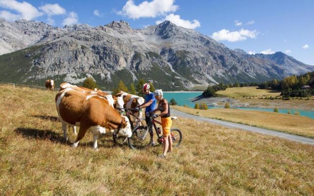 Meublè Garni della Contea