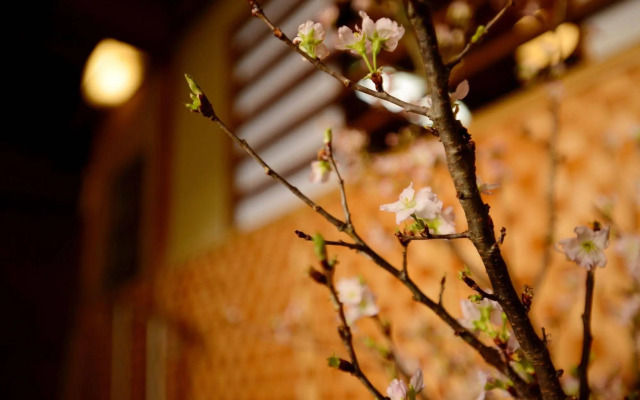 Mitsuki Kyoto