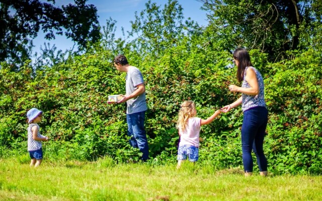 Grey Willow Yurts