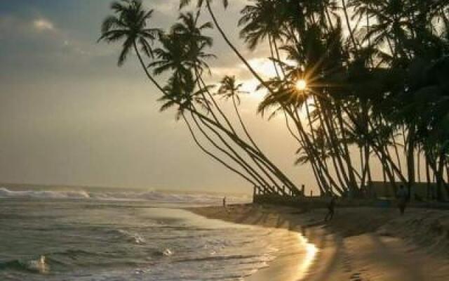 Jungle View apartment