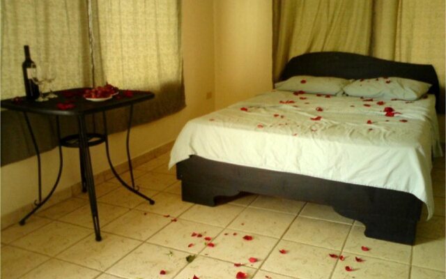 Blue Palm Hotel