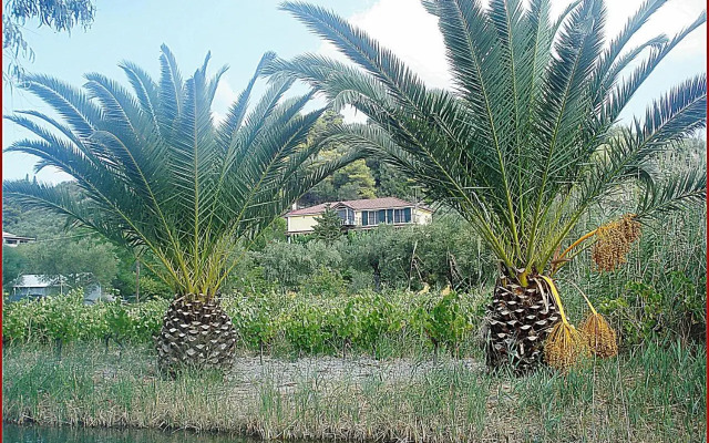 Villa Theodora