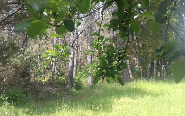 Albergue - Pensión Camiño das Ocas - Hostel