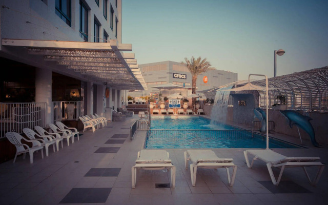 Brown Eilat