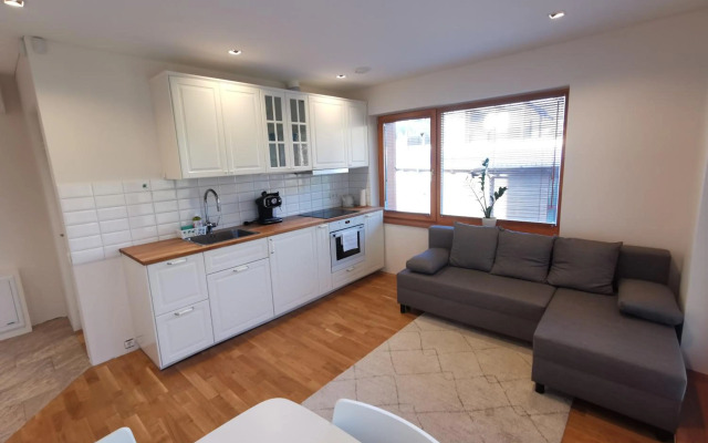 Vytauto 423 Apartments by JK