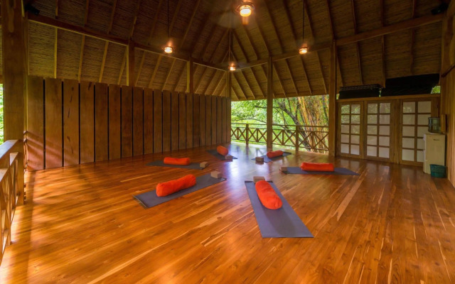 Bodhi Tree Yoga Resort