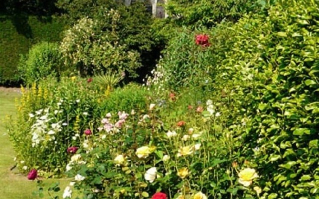 Pine Lodge Bed & Breakfast