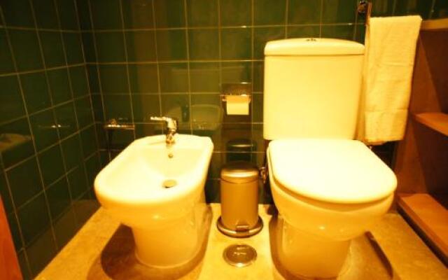 Modern Apartment near the Bridge