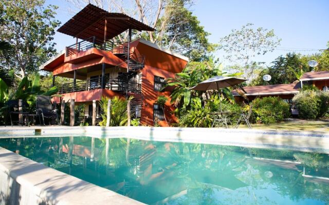 Jungle Lodge at Wild Sun Rescue