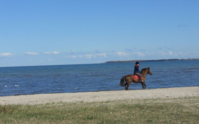 Tranquil Bungalow in Neuburg near the Sea