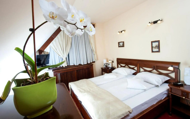 Pension Brasovu Vechi