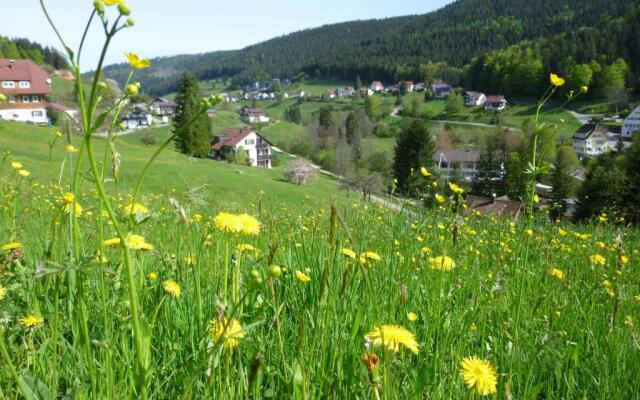 Schwarzwald-Ferienwohnungen Begert