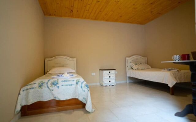 Ara Suite