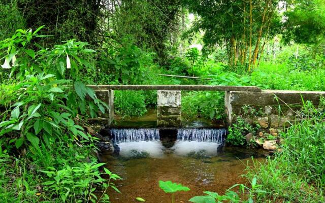 Giridarshini Homestay - Pool, Falls, Home Food & Estate