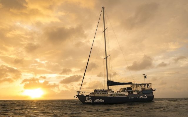 Coral Sea Dreaming Dive and Sail