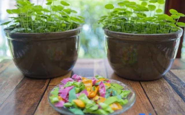 Niaochao Boutique Inn