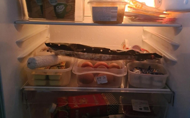 Royale en schone accommodatie met dakterras