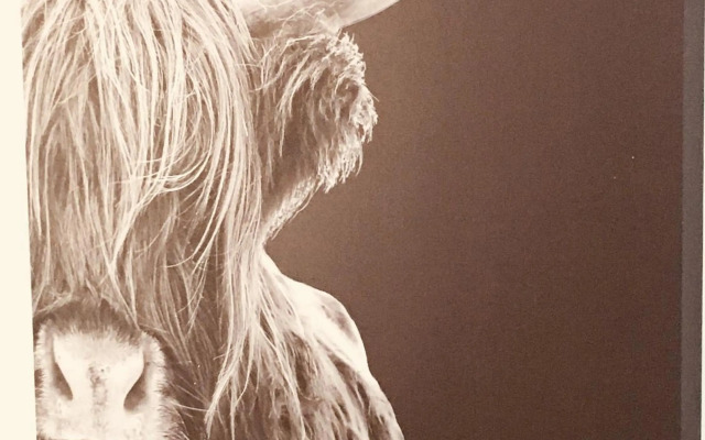 Vakantiehuis Witsand 1