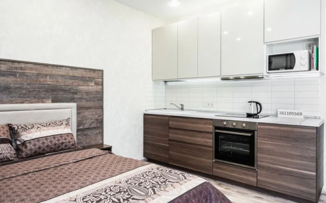 PASHk INN apartment on Belinsky street, 30