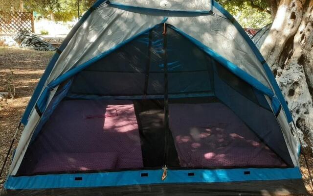 Social Camping JAL